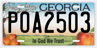 GA license plate POA2503