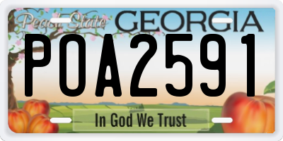 GA license plate POA2591