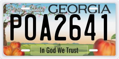 GA license plate POA2641