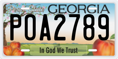 GA license plate POA2789