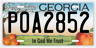 GA license plate POA2852