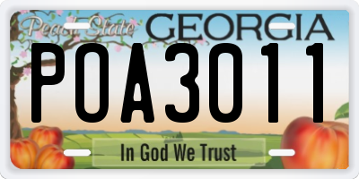 GA license plate POA3011
