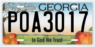 GA license plate POA3017