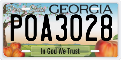 GA license plate POA3028