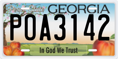 GA license plate POA3142