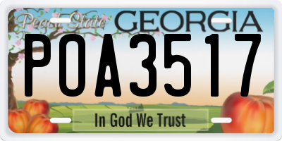 GA license plate POA3517