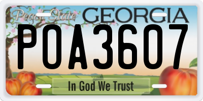 GA license plate POA3607