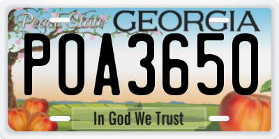 GA license plate POA3650