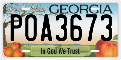 GA license plate POA3673