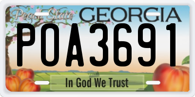 GA license plate POA3691