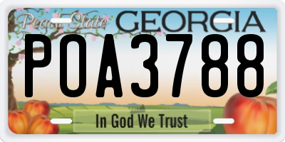 GA license plate POA3788