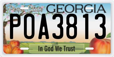 GA license plate POA3813