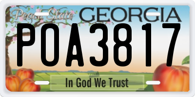 GA license plate POA3817