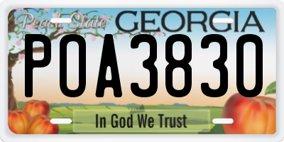 GA license plate POA3830