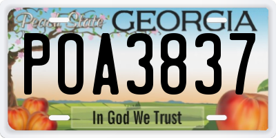 GA license plate POA3837