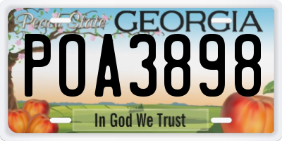 GA license plate POA3898