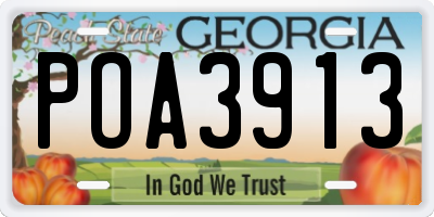 GA license plate POA3913
