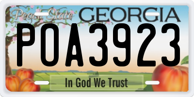 GA license plate POA3923