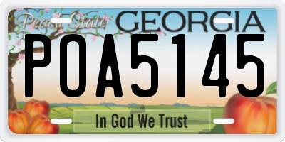 GA license plate POA5145