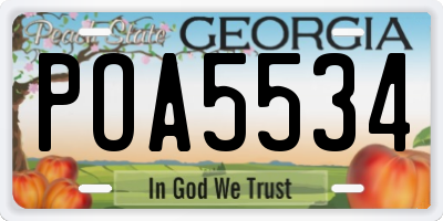 GA license plate POA5534