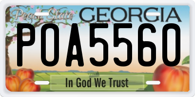 GA license plate POA5560
