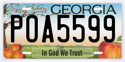 GA license plate POA5599