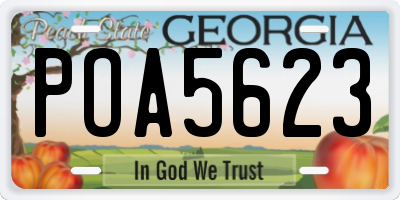 GA license plate POA5623