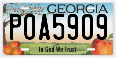 GA license plate POA5909