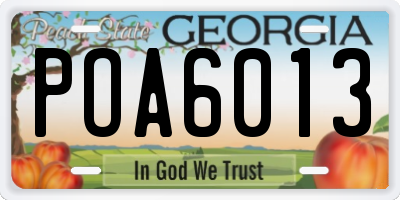 GA license plate POA6013