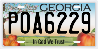 GA license plate POA6229