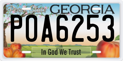 GA license plate POA6253