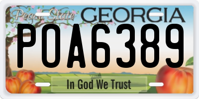 GA license plate POA6389