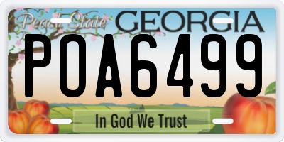GA license plate POA6499