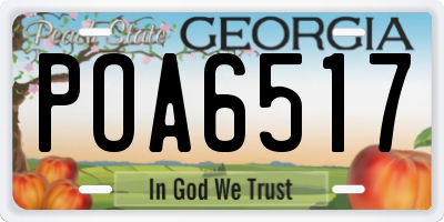 GA license plate POA6517