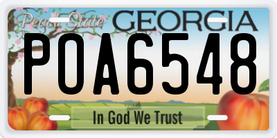 GA license plate POA6548
