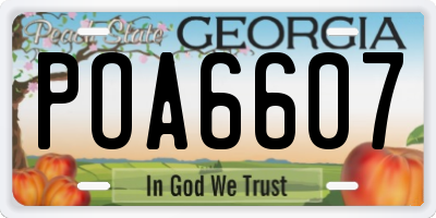 GA license plate POA6607