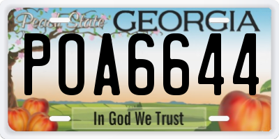 GA license plate POA6644