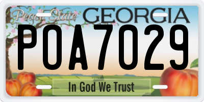 GA license plate POA7029
