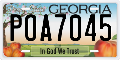GA license plate POA7045