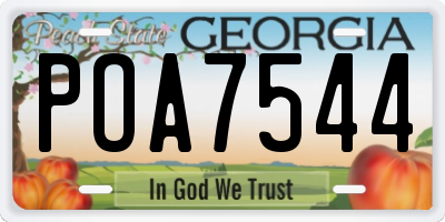 GA license plate POA7544