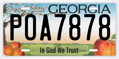GA license plate POA7878