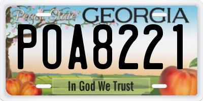 GA license plate POA8221