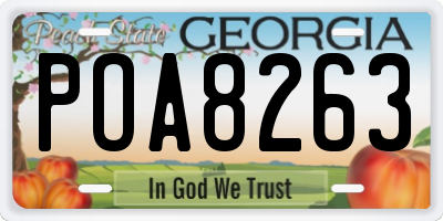 GA license plate POA8263