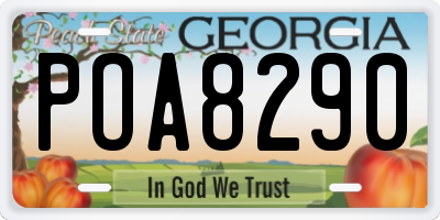 GA license plate POA8290
