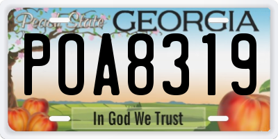 GA license plate POA8319