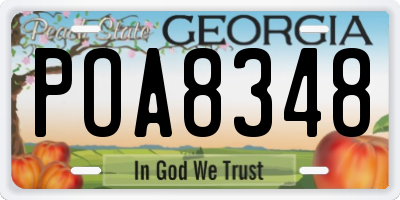 GA license plate POA8348