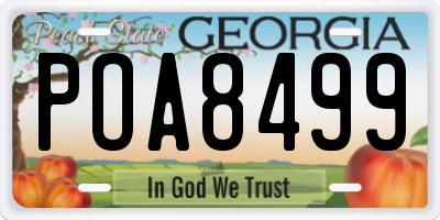 GA license plate POA8499