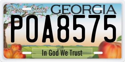 GA license plate POA8575