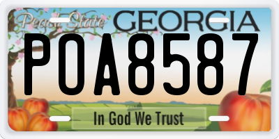 GA license plate POA8587