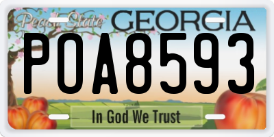 GA license plate POA8593